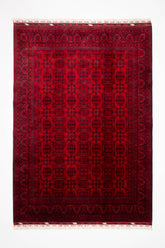 Öğretmenler Halı El Dokuma Belcik Halı 172X242 - 119561400024