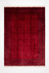 Öğretmenler Halı El Dokuma Belcik Halı 171X244 - 119561400021