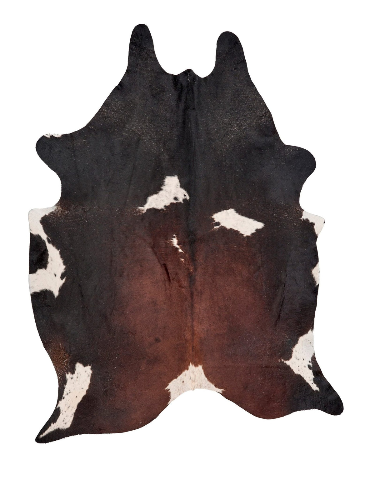 Öğretmenler Halı Fiesta Dana Post ÖÇFD942